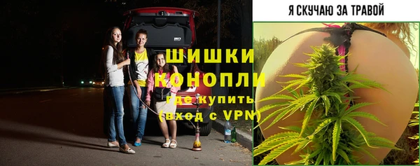 гидра Армянск