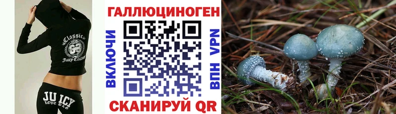 где продают Тырныауз Псилоцибиновые грибы Magic Shrooms