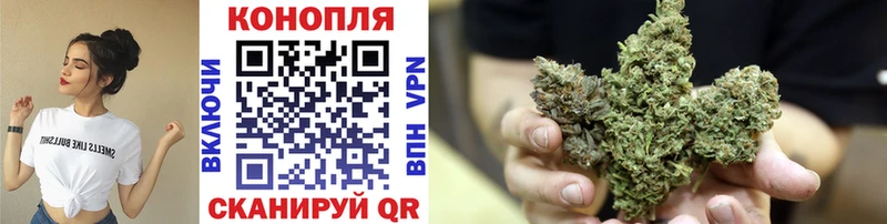 купить наркотик Тырныауз Бошки марихуана VHQ